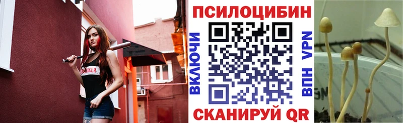 Галлюциногенные грибы ЛСД  Купить  Амурск 